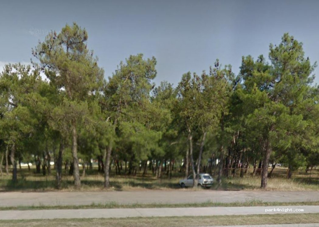 (81000) Podgorica - Bulevar Šarla de Gola — foto