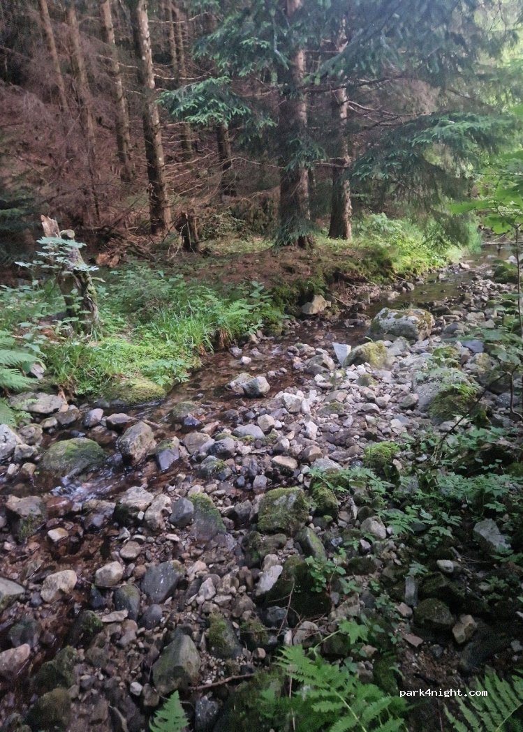 (07510) Usclades-et-Rieutord - 770 Route de la Padelle — foto