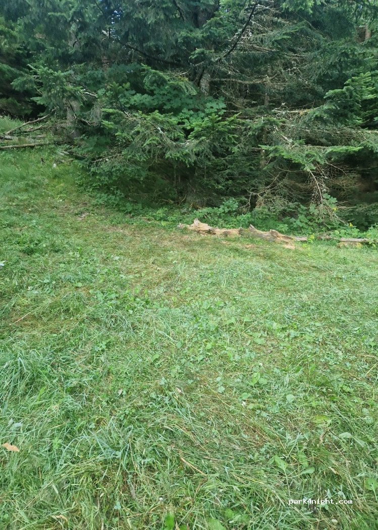(07510) Usclades-et-Rieutord - 770 Route de la Padelle — foto 2