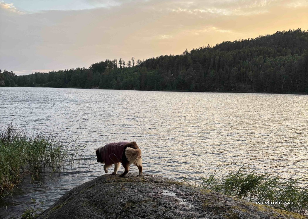 (459 93) Ljungskile - — foto