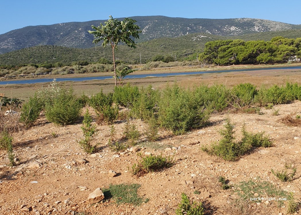 (51550) Osor - Unnamed Road — foto