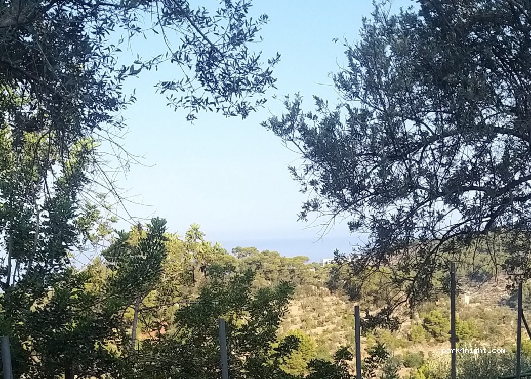 (07100) Sóller - 27 Ma-2124 — foto 4