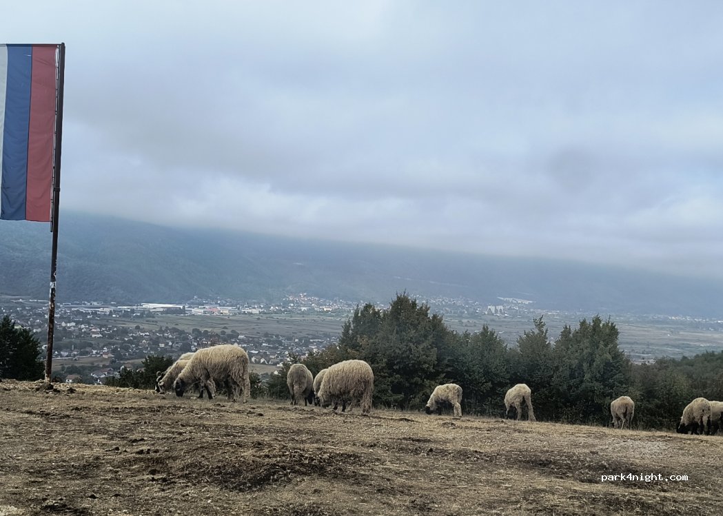 () Gornje Mladice - — foto 3