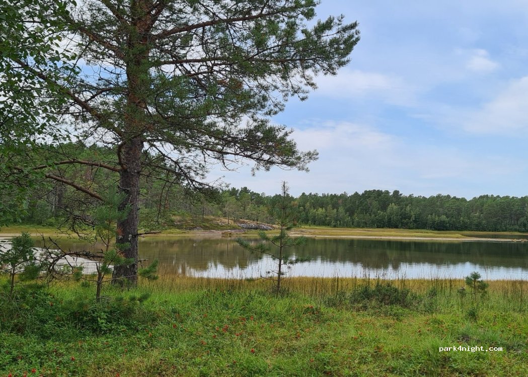 (8260) Innhavet - — foto 4
