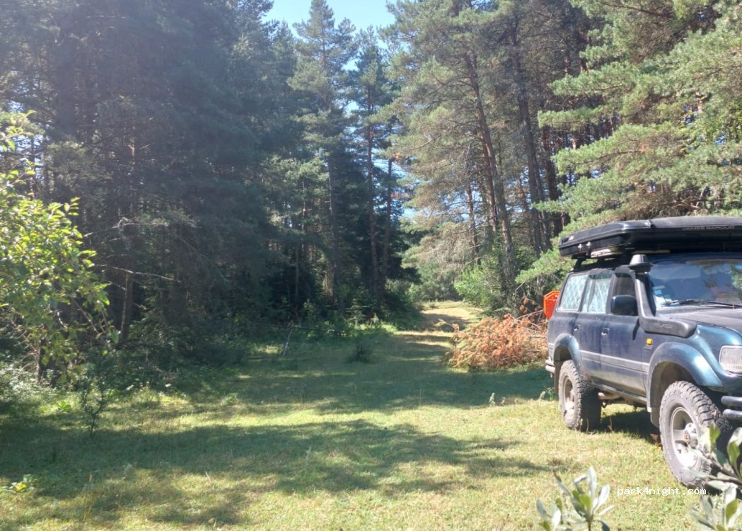 (37922) Merkez - — foto