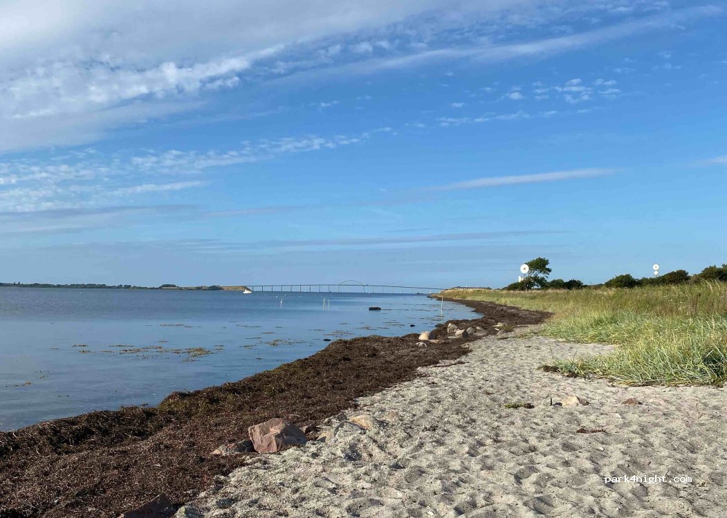 (5900) Rudkøbing - Kragholmvej — foto 3