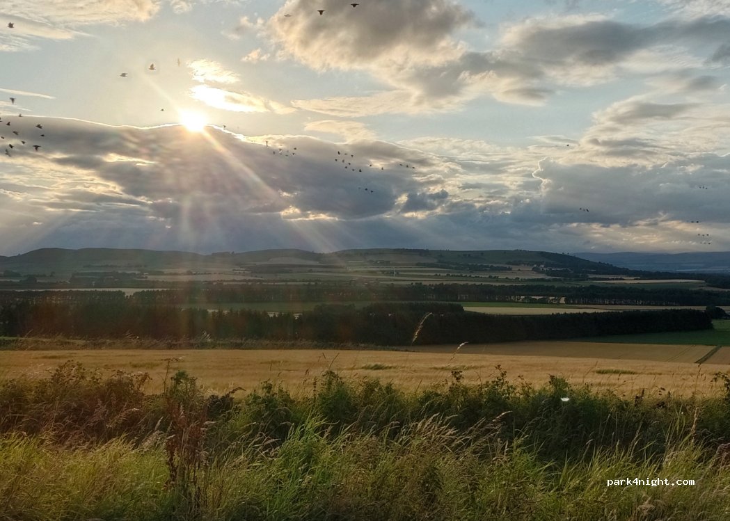 (DD8 2JU) Forfar - Carrot Rd — foto