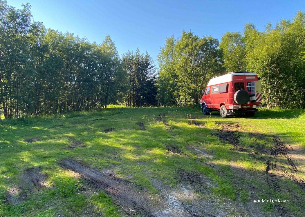 (7982)  - 140 Fylkesvei 17 — foto 3