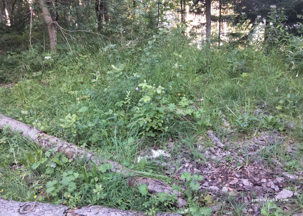 (83471) Eck - — foto 2