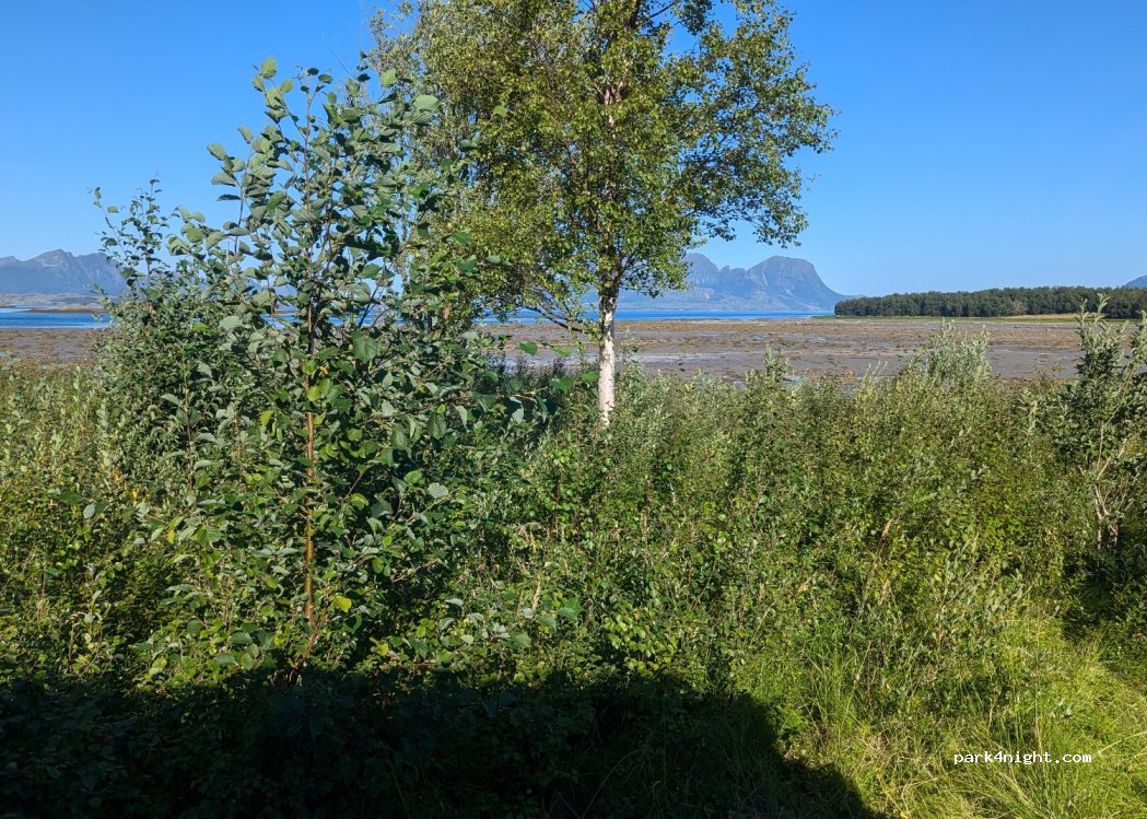 (8288) Straumfjord - — foto