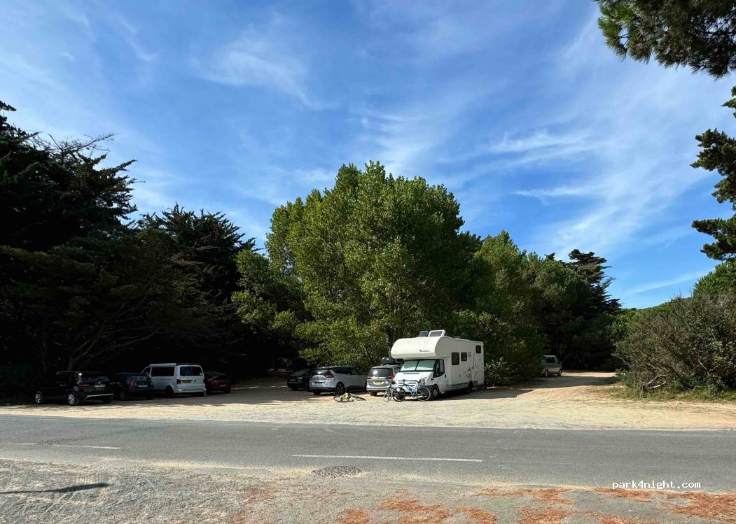 (17580) Le Bois-Plage-en-Ré - Rue Raise Maritaise — foto