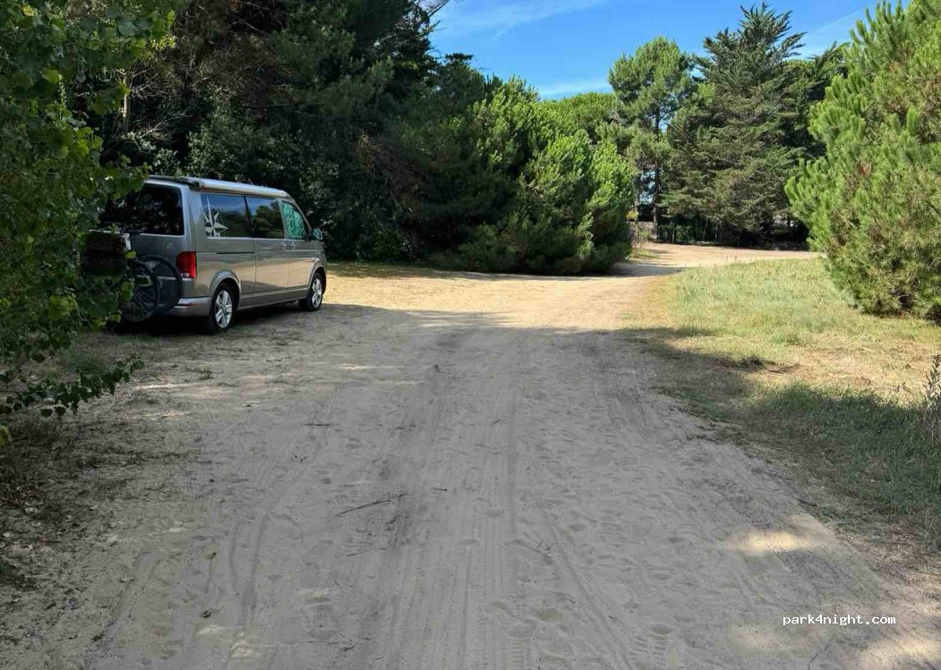 (17580) Le Bois-Plage-en-Ré - Rue Raise Maritaise — foto 2