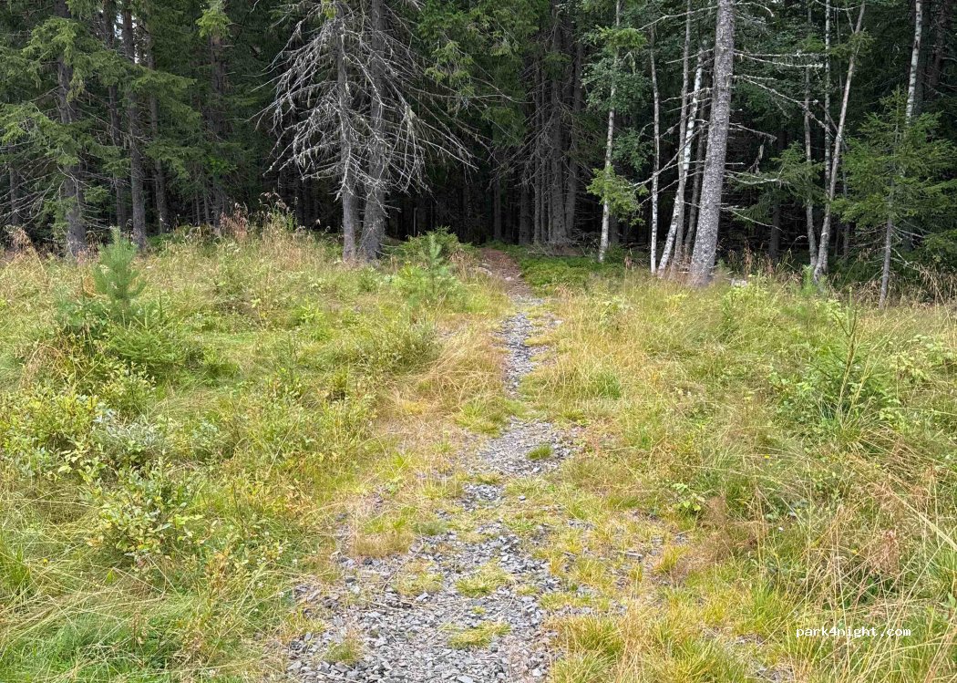 (2610) Mesnali - Sjusjvegen — foto 2