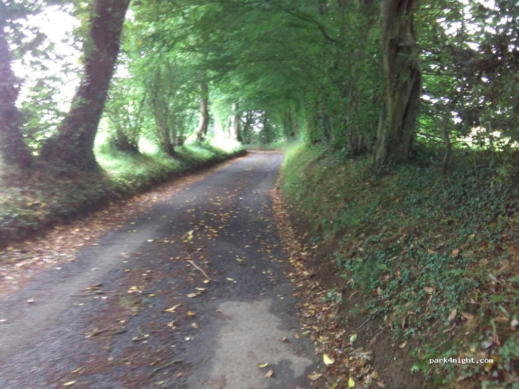 (14380) Saint-Manvieu-Bocage - Unnamed Road — foto