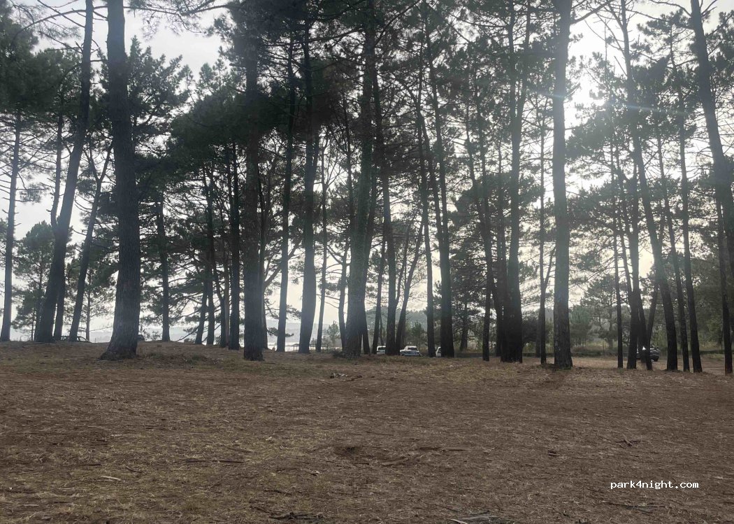 (15949) A Pobra do Caramiñal - Aldea Laxe — foto 5