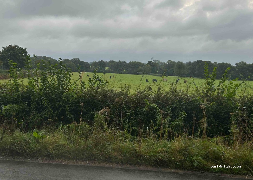 (TN8 6QF) Surrey - 54 Grants Lane — foto 3