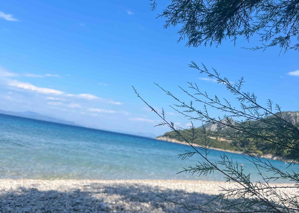 (20240) Duba Pelješka - 15 U portu — foto