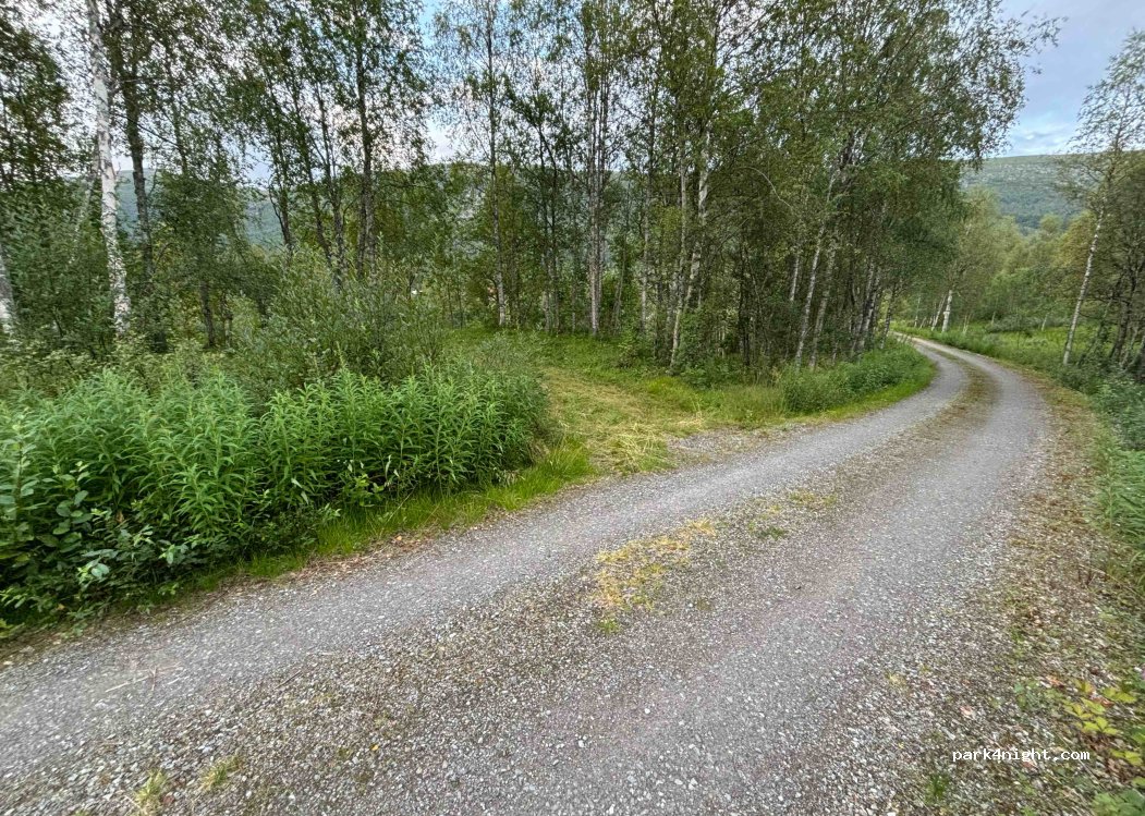 (8630) Storforshei - 1533 Saltfjellveien — foto 2