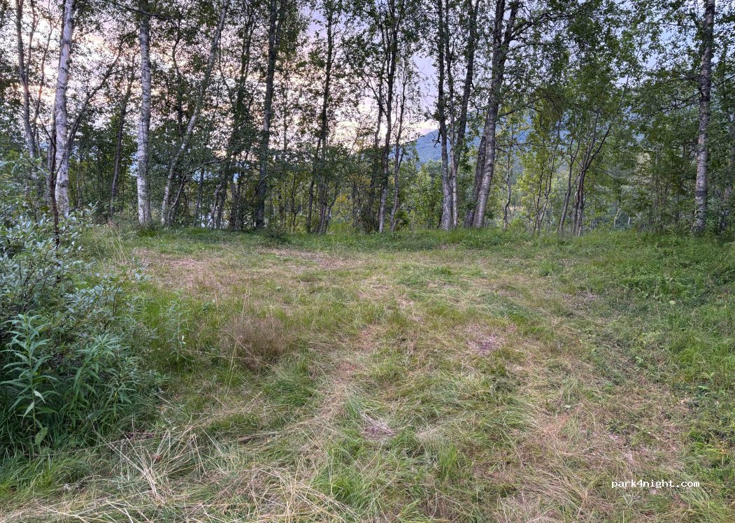 (8630) Storforshei - 1533 Saltfjellveien — foto 4