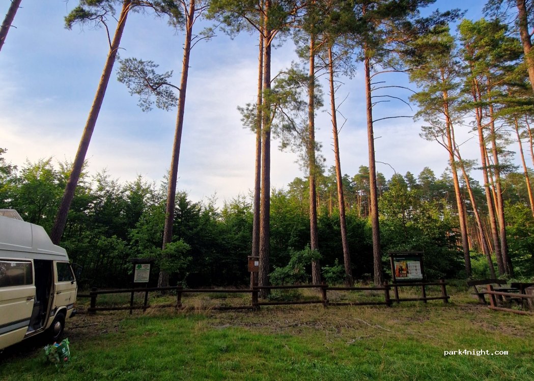 (72) Barnisławice - — foto