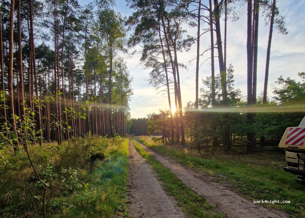 (72) Barnisławice - — foto 3