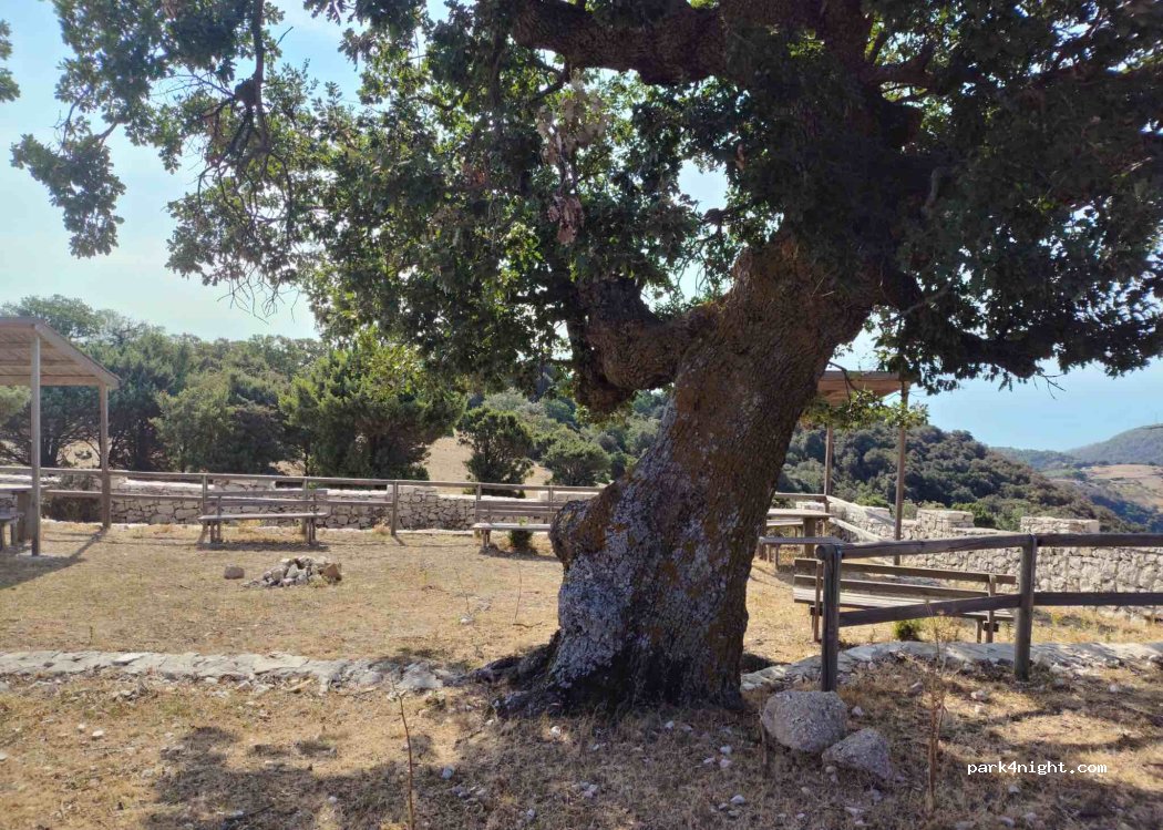(71030) Vieste - Unnamed Road — foto 2