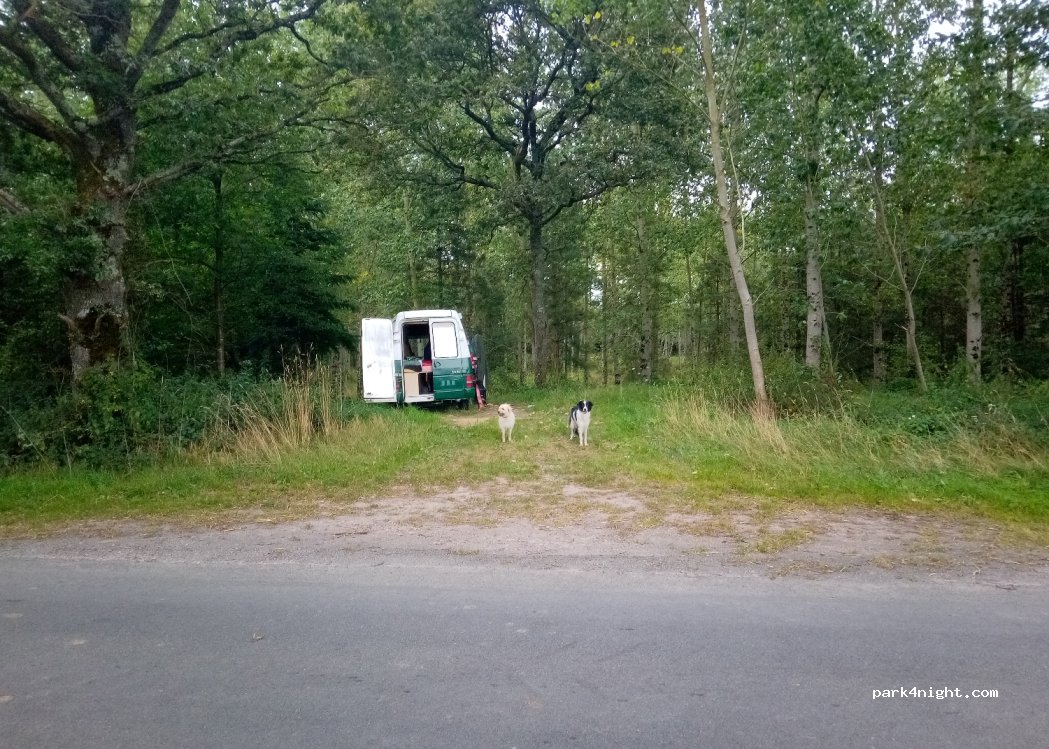(35380) Plélan-le-Grand - — foto