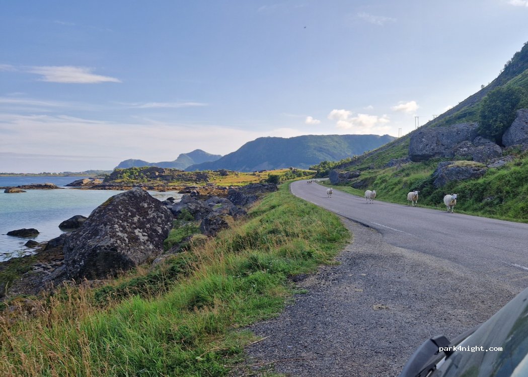 (8340) Stamsund - — foto 3