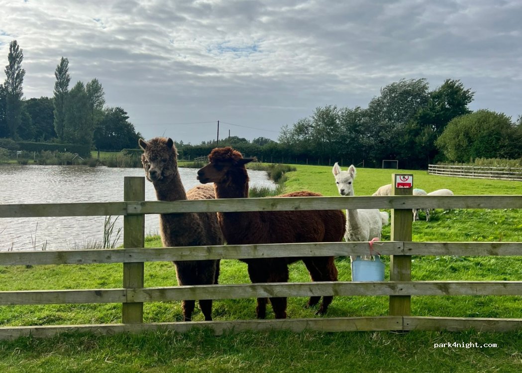 Poplar Grove Farm Caravan Park — foto 4