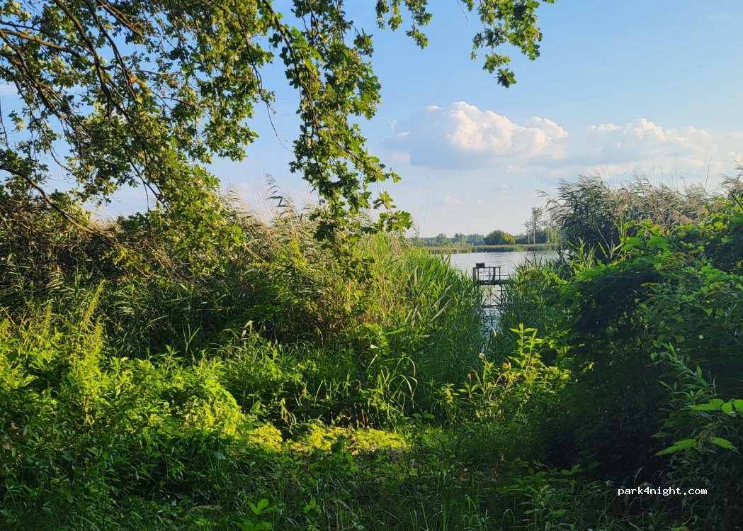 (09) Brwilno - — foto