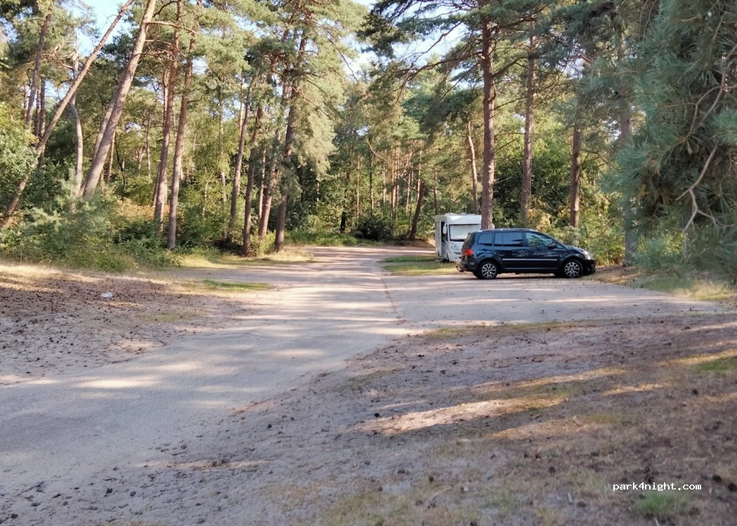 (7731) Ommen - Eerderveldweg — foto