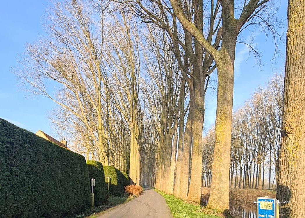 (8340) Damme - 137 Vissersstraat — foto 2