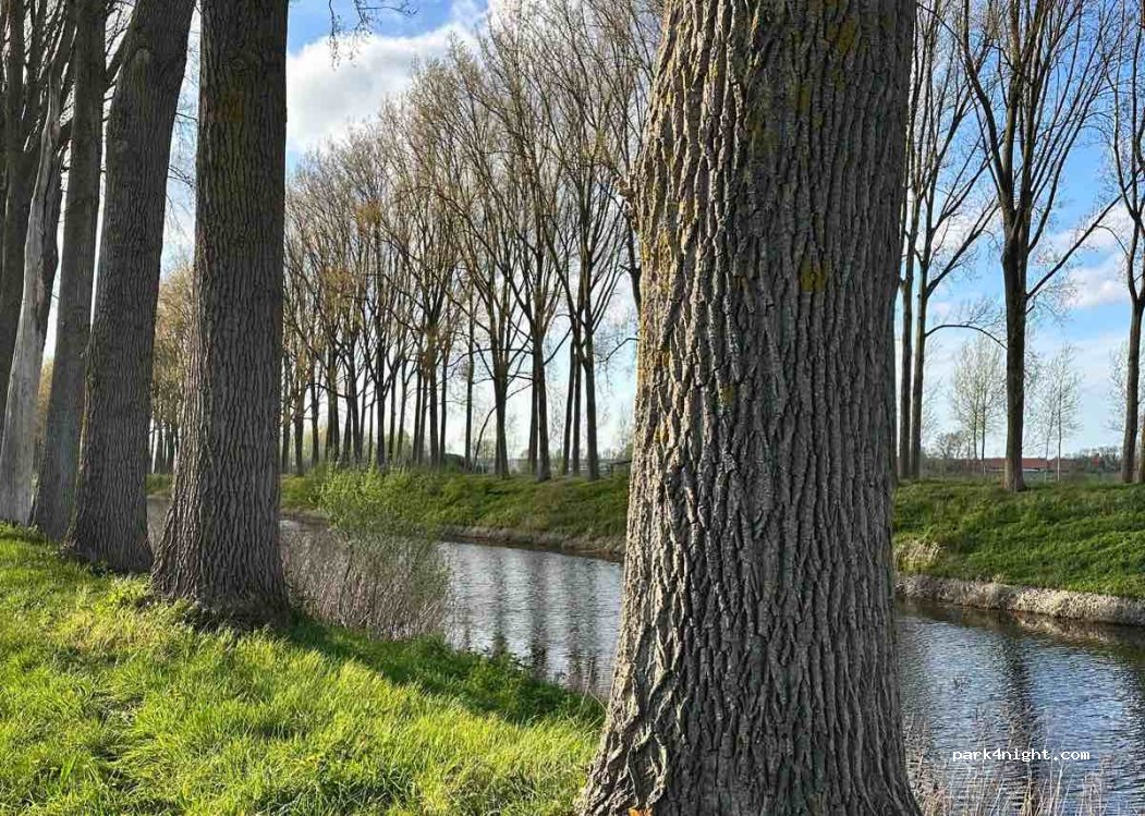 (8340) Damme - 137 Vissersstraat — foto 4