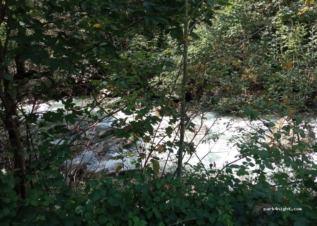 (5672) Fusch - Zeller Fusch — foto 3