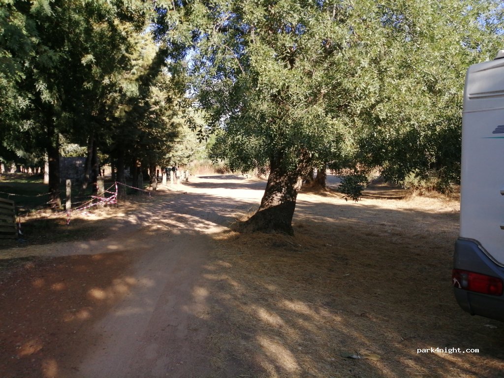 (37589) Tenebrón - SA-220 — foto 2