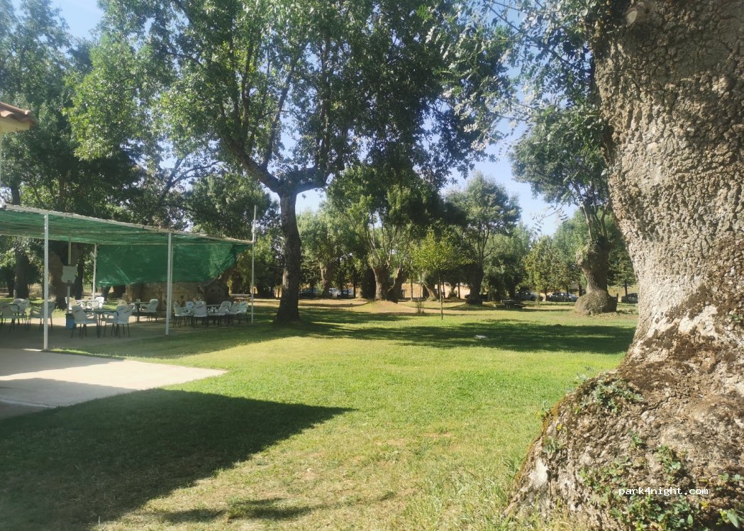 (37589) Tenebrón - SA-220 — foto 3