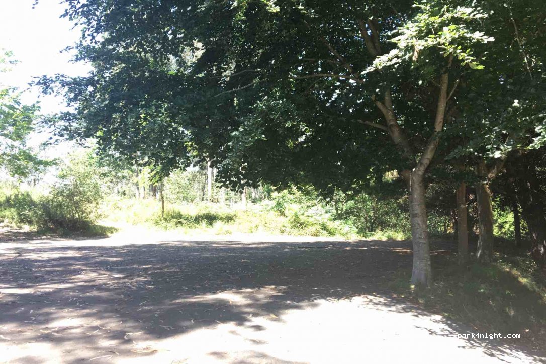 (33559) Cangas de Onís - Unnamed Road — foto