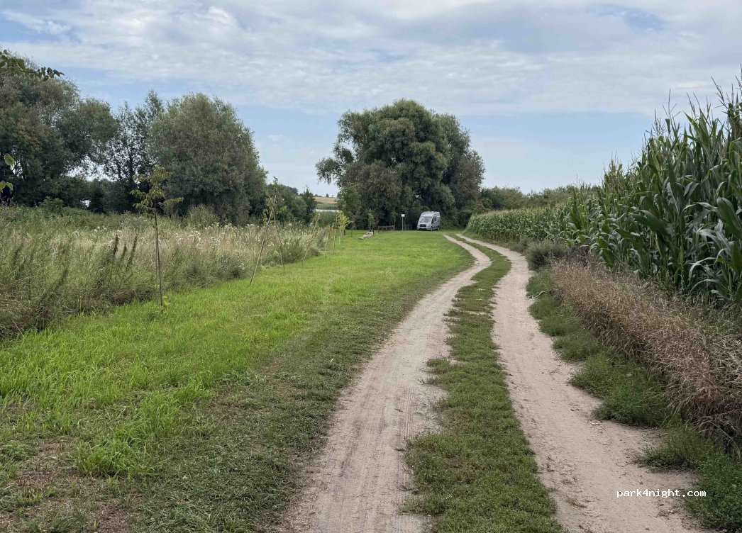(88-410) Gogółkowo - — foto 2