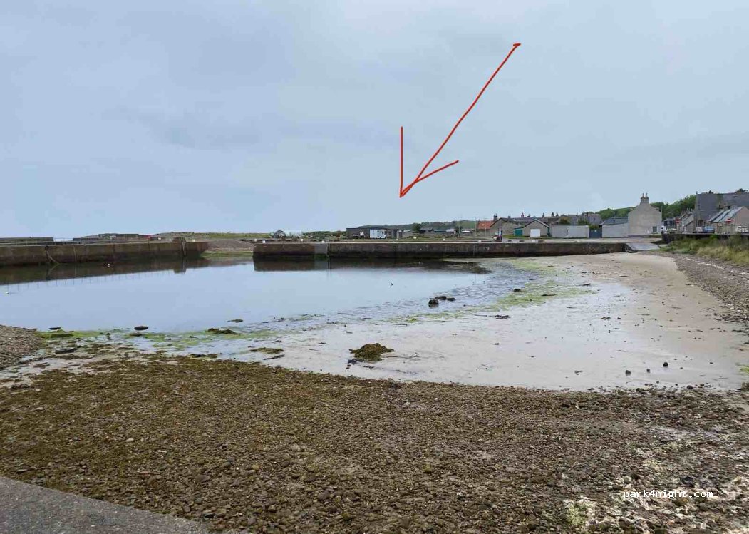 (AB56 5QQ) Portgordon - Harbour Head — foto 5