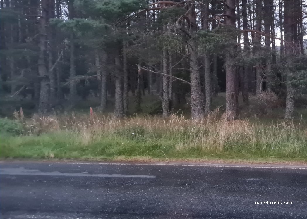 (PH22 1QU) Aviemore - Unnamed Road — foto 3