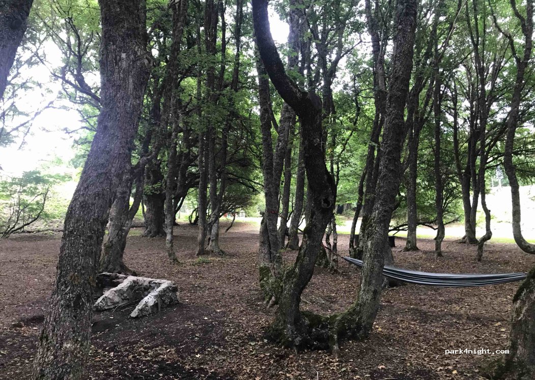 (67036) Rivisondoli - Via Difesa — foto