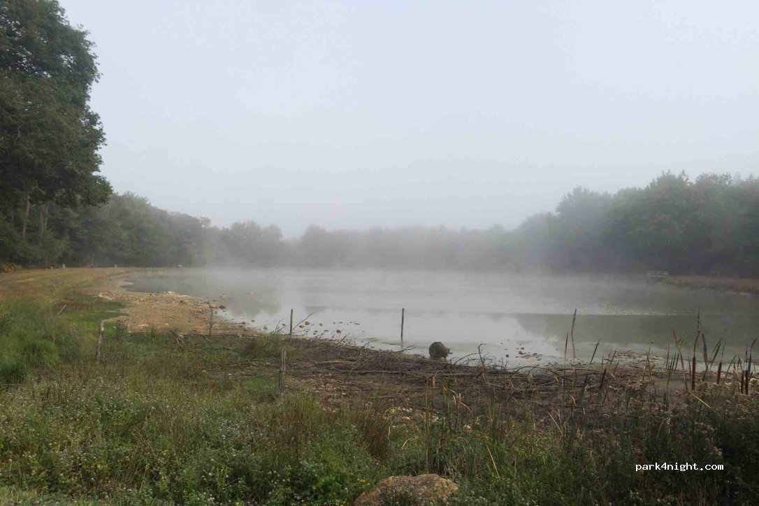 (85500) Les Herbiers - Unnamed Road — foto