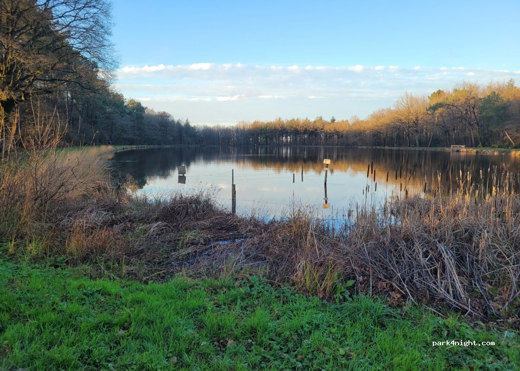 (85500) Les Herbiers - Unnamed Road — foto 4