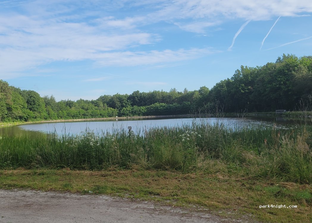 (85500) Les Herbiers - Unnamed Road — foto 5