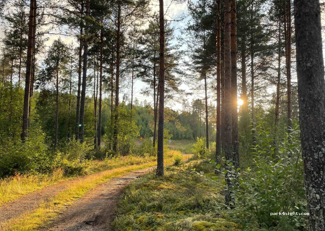 (796 99) Älvdalen - Storsugnsstugan, W 1019 — foto 4