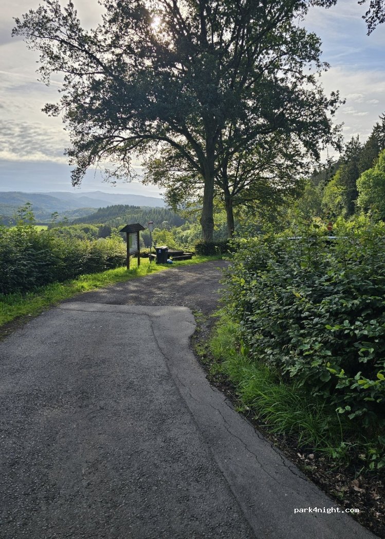 (53518) Honerath - L10 — foto