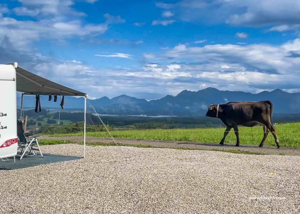 Landliebe mit Bergblick beim Staffelsee — foto