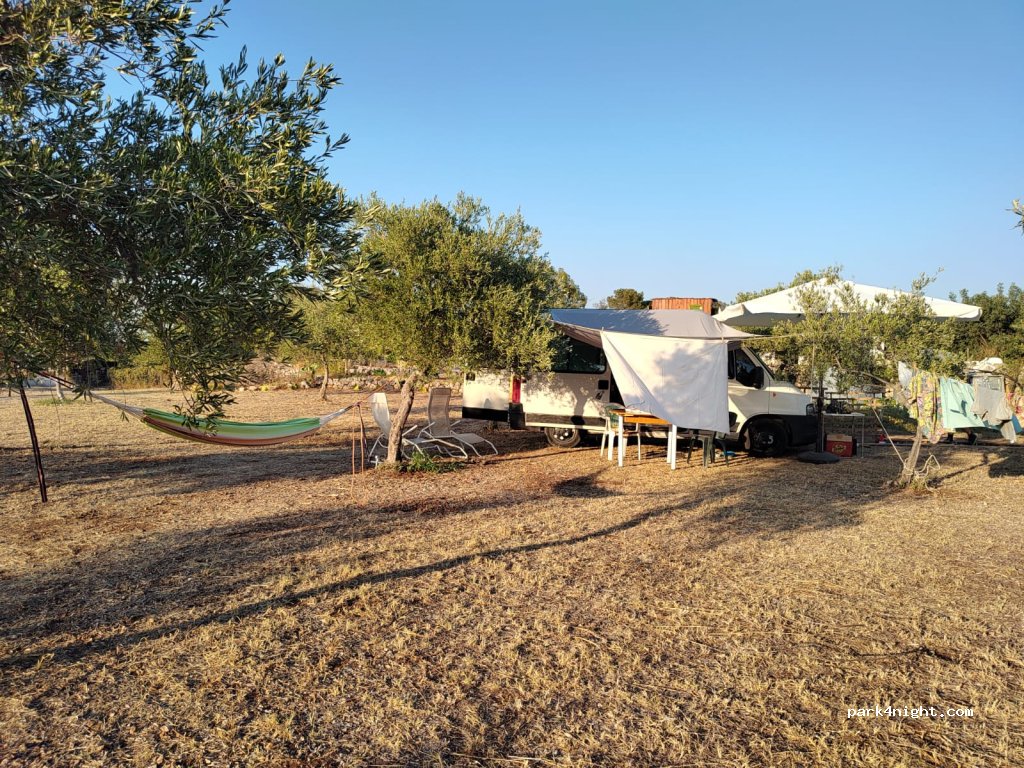 Sciamaninn — foto 3