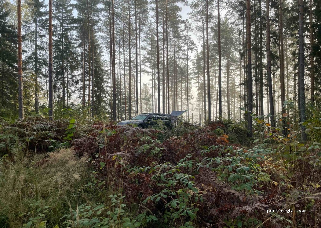 (10470) Ansku - 335 Fiskarsvägen — foto