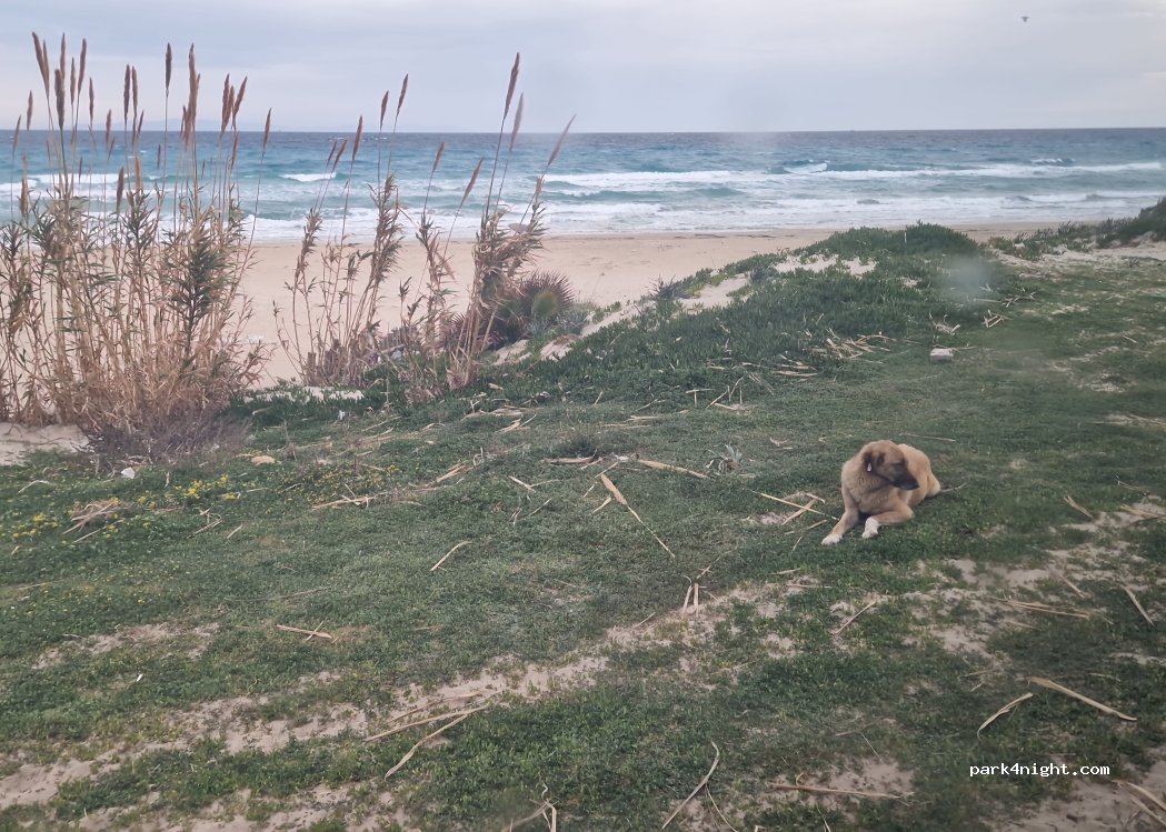 (35930) Çeşme - Unnamed Road — foto 3